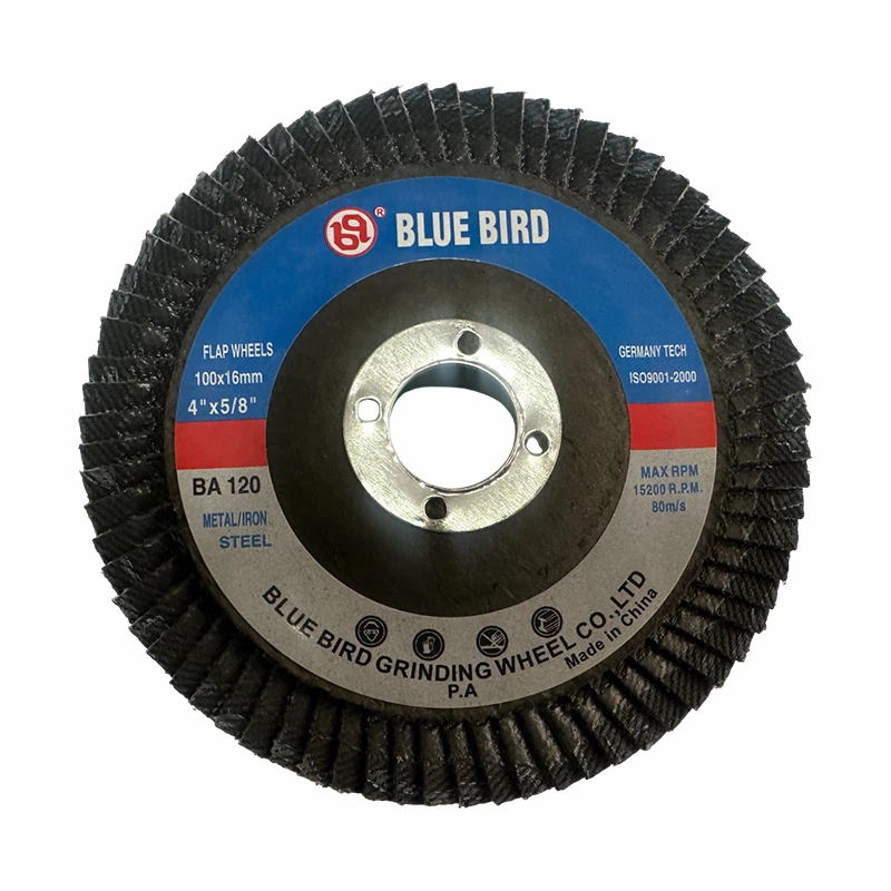 9 Inch Flap Disc