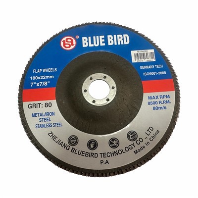 7 -calowy dysk klapy